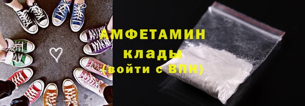 PSILOCYBIN Бородино