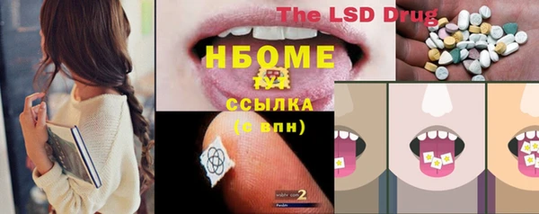 прущие грибы Бронницы