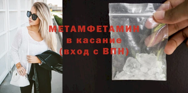 прущие грибы Бронницы