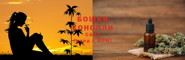 PSILOCYBIN Бородино