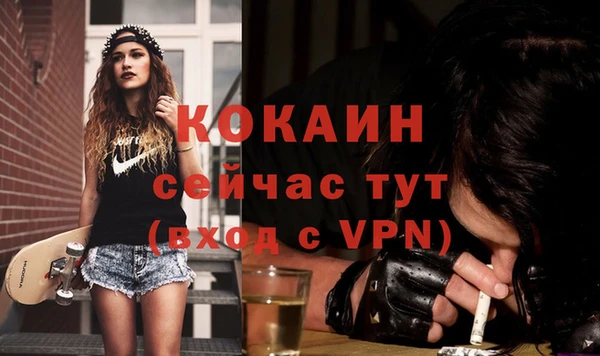 винт Верея