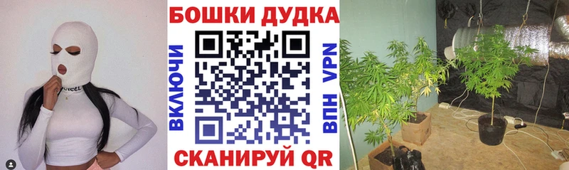 Конопля Amnesia  Вельск 